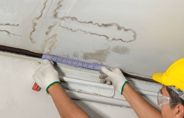 Reliable Mold Remediation contractor in Wauconda, WA by Water Damage Irwin